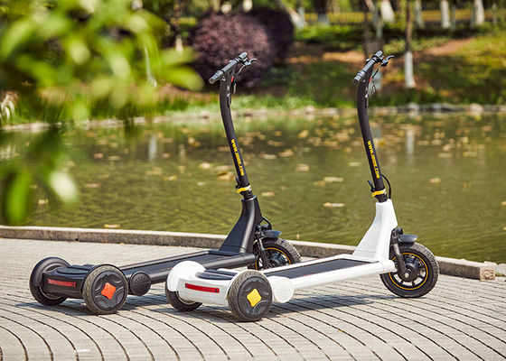 Length 1600mm 2 Wheel 11.3Ah Alu Alloy Electric Balance Scooter