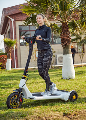 30KG IP54 30km/H Three Wheel  Electric Adult Tricycle