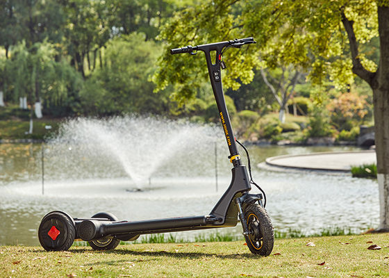 250W 36V 10A Self Balancing Electric Scooter For Outdoor