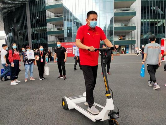 30KG IP54 30km/H Three Wheel  Electric Adult Tricycle