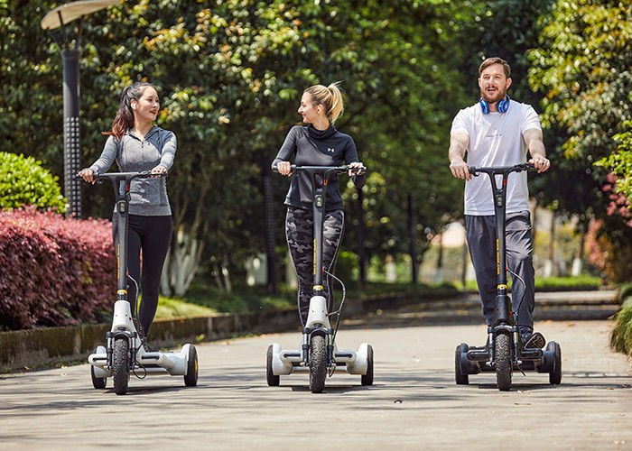 Range 40kms Loop Self Balancing Electric Scooter