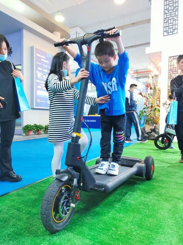Length 1600mm 2 Wheel 11.3Ah Alu Alloy Electric Balance Scooter