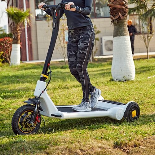 30KG 25km/H 2 Wheel Standing Scooter Carbon Structural Steel Frame